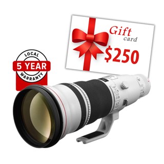 Canon RF 600mm f/4L IS USM Lens BONUS $250 Gift Voucher